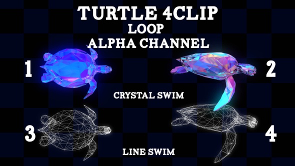 Turtle 4 CLip Loop Alpha