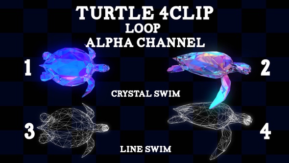 Turtle 4 CLip Loop Alpha, Motion Graphics | VideoHive