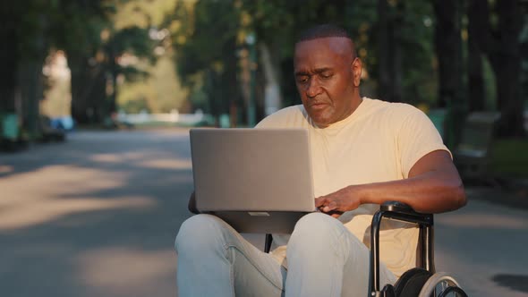 Adult Black Man on Wheelchair Uses Internet While Sitting Outdoors in Summer Park alt