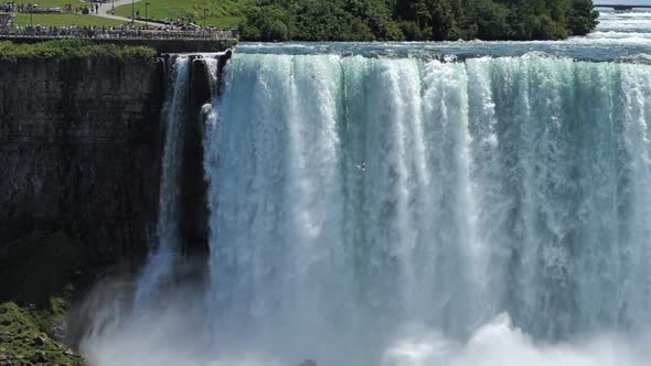 Bird Flying At Canadian Falls - Niagara River Flowing Down At Horseshoe Falls In Canada. - slow moti alt