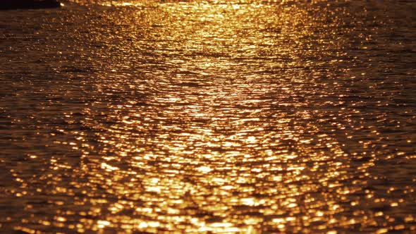  Dark Water with Golden Sun Path alt