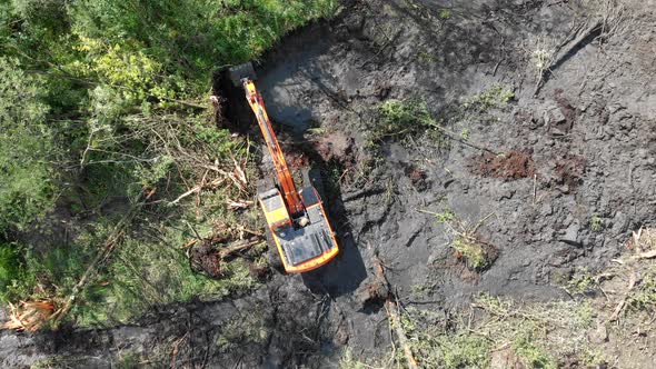 A Crawler Excavator Fells Trees and Digs the Ground