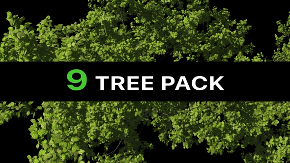 9 Tree Footages