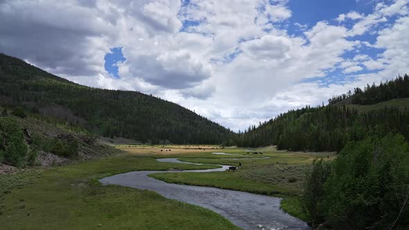 Fremont River flowing through meadow in Utah as cow graze the green valley alt