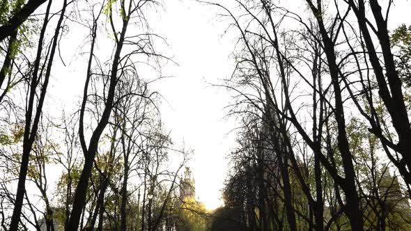 Autumn Park Alley Next To the Main Building of Moscow State University alt