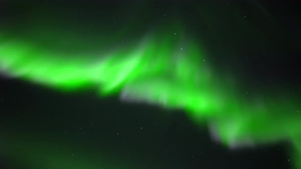 Aurora Borealis Lights Northern Alberta, Resembling To Alaska Lights alt