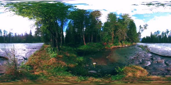 360 VR Virtual Reality of a Wild Forest. Pine Forest, Small Fast, Cold Mountain River alt