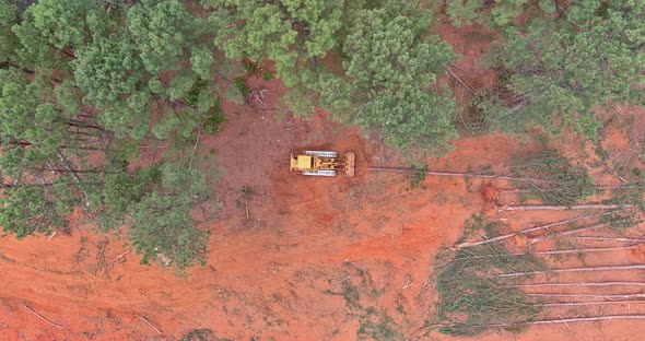 Deforestation and Preparation of Land for Construction Using a Dozer to Uprooting of Trees alt
