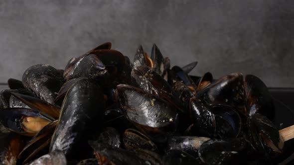 Mussels 02 alt