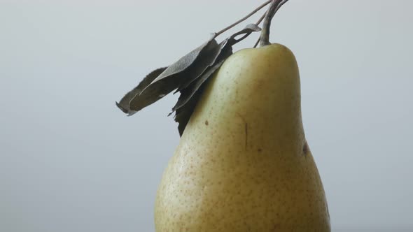 Tilting on  fruit from genus Pyrus 4K 2160p UltraHD  footage - Close-up of yellow organic pear on th alt