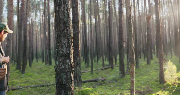 Mushroom Picker is Walking in Woods at Sunrise Rays Breaking Through Tree Branches Illuminate Face alt