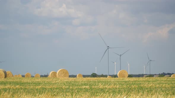 Green Wheat Field in Motion with Wind Turbines in the Background.