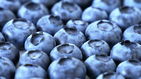Fresh Ripe Blueberry Rotating Background. Blue Fruit Macro Shot in Motion alt