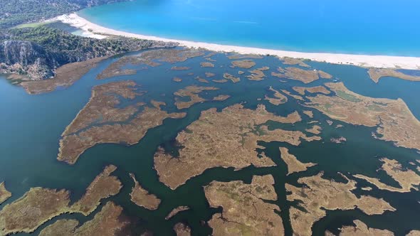 Aerial Swamp Wetland and Lake Next to Reed Delta by Sea alt