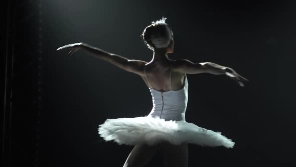 Classical Ballet Choreography Perfoming By Young Beautiful Graceful Ballerina in White Tutu alt