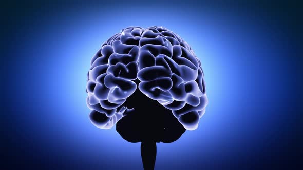 brain anatomy, rotating brain alt