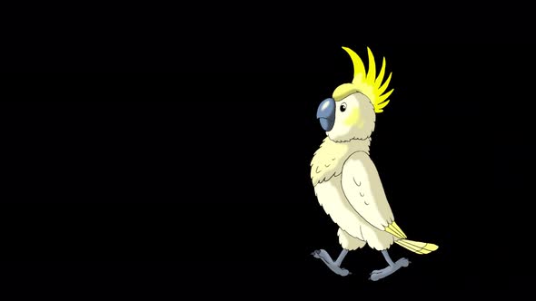 Yellow cockatoo Parrot alt
