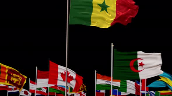 Senegal Flag With World Flags In Alpha Channel