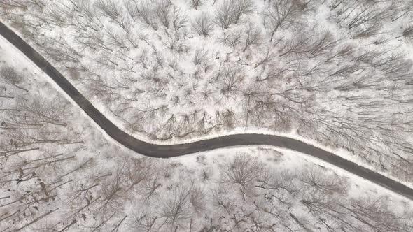 Road in the woods by winter 4K aerial video alt