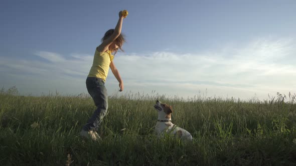 Nas Jes2Little Girl and Dog Jack Russell Terrier Play Green Grass alt