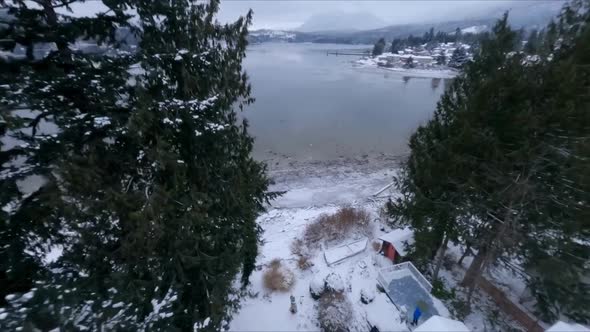 POV Of An Eagle Flying Down Towards A Group Of Birds Scavenging, Scaring Them Away. alt