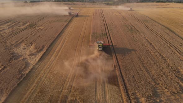 Aerial shot: flyin behind combine harvesting wheat alt