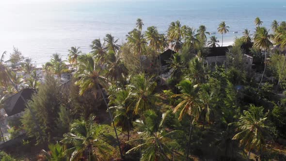 Aerial View African Tropical Beach Resort ThatchedRoof Hotels Pools Zanzibar alt