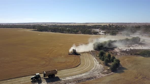 Combine gathering corn and kicking up dust in the dry farm field - aerial view alt