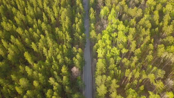 Car On Forest Road From Above