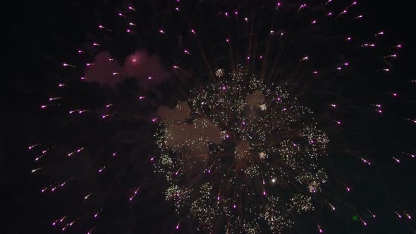 Fireworks exploding in the night sky which make dark background to colorful and beautiful shape