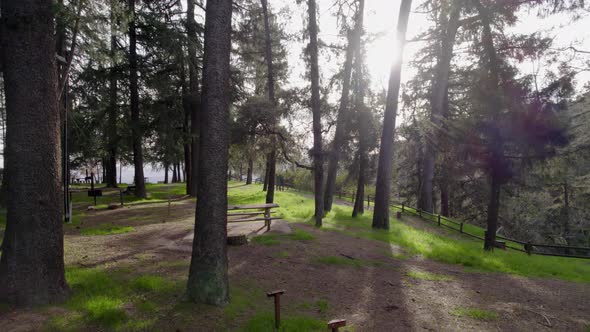 A cinematic drone shot of a campground at golden hour. alt