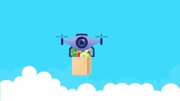 Grocery Delivery By Drone animation alt