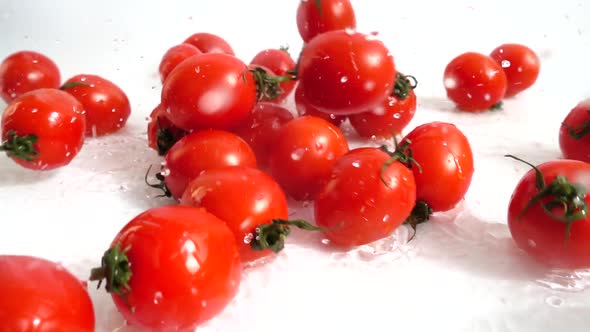 The Fall of Cherry Tomatoes 3 alt