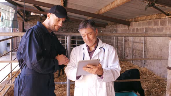 Cattle farmer and veterinary physician interacting with each other while using digital tablet alt