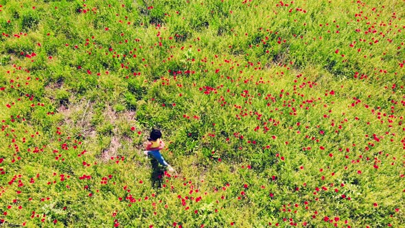 Top View Girl Alone Walk In Poppy Field alt