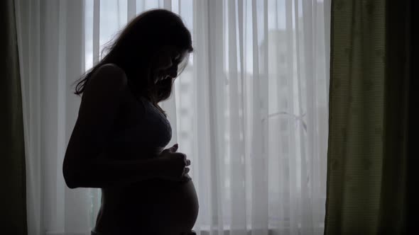 Silhouette Of Pregnancy Woman Stroking And Caressing Her Tummy Against A Window alt
