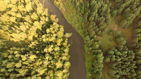 Aerial Flying of Drone Over River and Forest. Top View of Streams and Trees