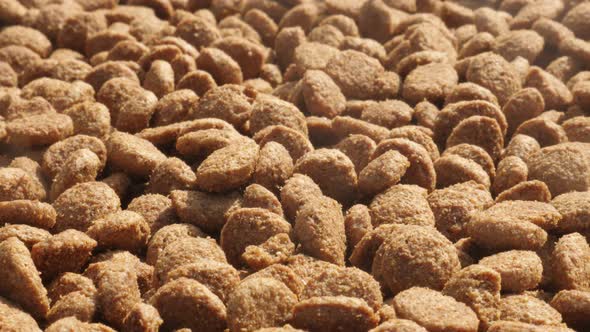 Slow pan on heap of cat or dog food   4K 2160p 30fps UltraHD footage - Dry  pet pellets on pile shal alt