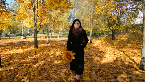 A Girl in a Black Coat Walks on Fallen Yellow Leaves Among Maple Trees alt