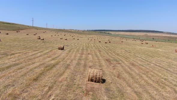 Hay in Rolls on a Rural Scenic Field with a Drone Filmed