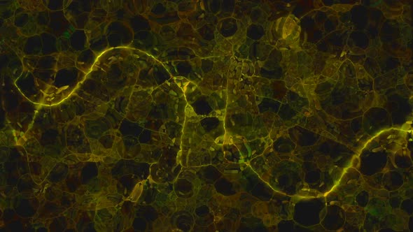 Stained Glass Ocher alt