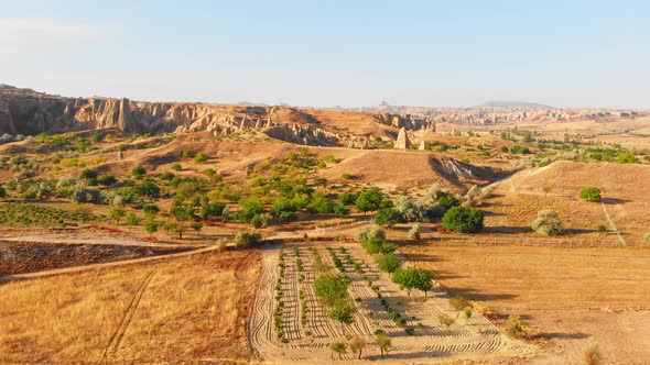 Agriculture Field And Valleys In Cappadocia alt