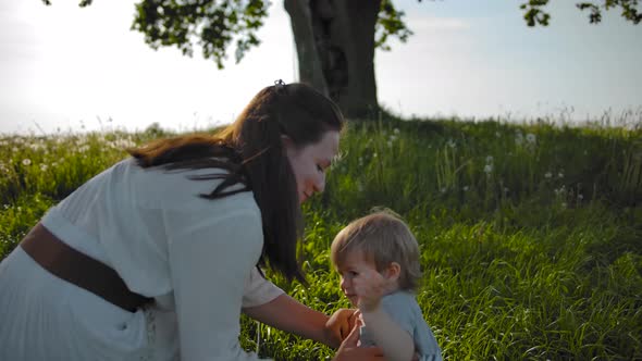 Young Beautiful Mother Takes Little Daughter in Arms and Walks Towards the Old Tree in the Field alt