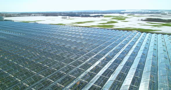 Industrial greenhouses in sunny weather