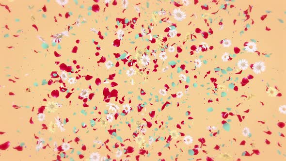 Summer Flower Burst alt