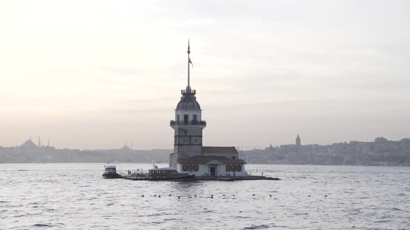 Birds passing in front of Maiden's Tower one evening alt