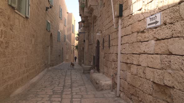 Stone buildings on a narrow street alt