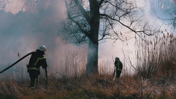 Two Firefighters in Equipment Extinguish Forest Fire with Fire Hose. Slow Motion alt