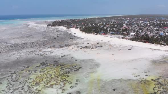 Long Ocean Low Tide with Bared Bottom in Shallow Water Zanzibar Aerial View alt