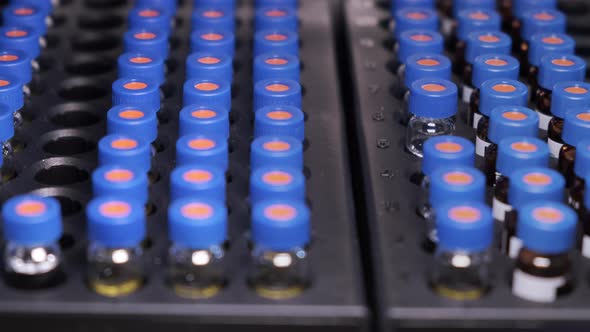 Automated Conveyor Line of Chromatographic Robotic Device alt